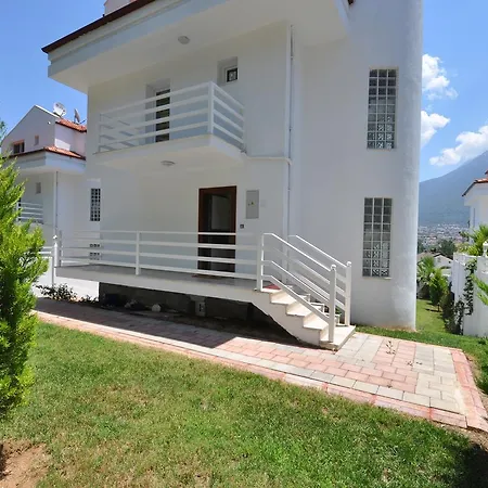 Pinara فيلة